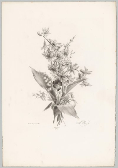 Maceška a hyacint a květiny ve tvaru zvonu Flower and Fruit Studies (...) 10. epizoda (název série) od Anton Weiss