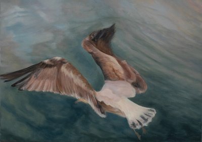 Lokki tulossa maahan, 2012 (öljy kankaalle) od Antonia Myatt
