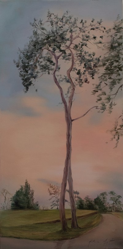 Tapeley Park stromy, 2013 (olej na plátně) od Antonia Myatt