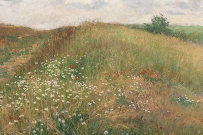 Léto, 1897. od Antonin Slavicek