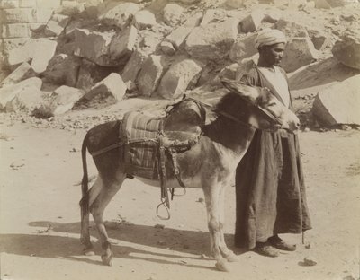 Bourier a Bouriquer, Egypt od Antonio Beato