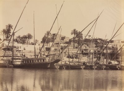 Pohled na Asuán - podél Nilu, c. 70. - 80. léta 19. století. od Antonio Beato