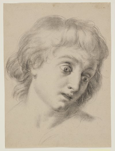 Hlava chlapce od Antonio Cavallucci