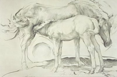 Koně v Coolmore, 1990 (uhlí na papíře) od Antonio Ciccone