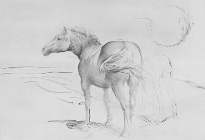 Koně v Coolmore, 1990 (uhlí na papíře) od Antonio Ciccone