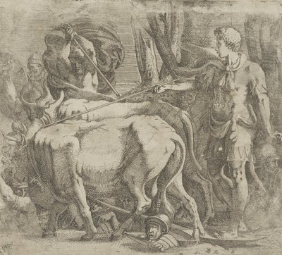 Cadmus obdělával pole, kde zasel dračí zuby, 1540-45. od Antonio Fantuzzi