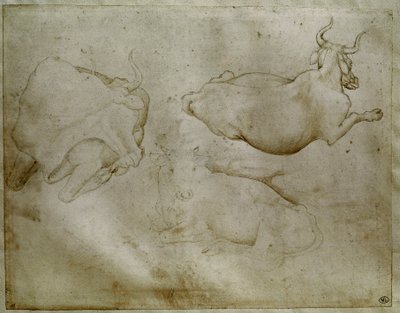 Dvě krávy a jalovec. Kresba Antonia di Puccia Pisano dit Pisanello (1395-1455). Svitek, kovový hrot. Výška: 17,6 cm. Louvre, Kabinet medailí od Antonio Pisanello