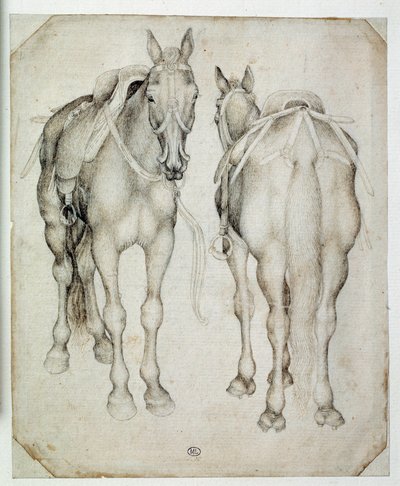 Dva postroje, viděno ze tří čtvrtin, jeden zepředu a druhý zezadu. Kresba Pisano Antonio di Puccio dit Pisanello (1395-1455) od Antonio Pisanello