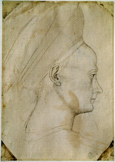 Hlava mladé ženy z profilu vpravo. Kresba dílny Antonia di Puccia Pisano dit Pisanello (1395-1455). Hnědý inkoust, černý kámen, peříčko. Rozměr: 24,6 x 17,2 cm. Louvre, Cabinet des Dessins. od Antonio Pisanello