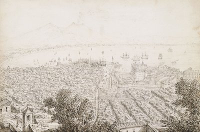 Panoramatický pohled na Neapol od Antonio Senape