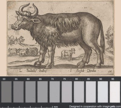 Buvol L Bubalus Indicus/ I Bufola Dindia (název na objektu) Dieren en fablewezens (název série) Nová kolekce nejkurióznějších zvířat světa (název série) od Antonio Tempesta