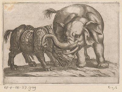 Een neushoorn vecht met een olifant Vechtende dieren (series title)   1362397   cs       czech Successfully Translated  Original: Trompe lOeil with Falconers Bag and other Equipment for Falconry Translat: Trompe l