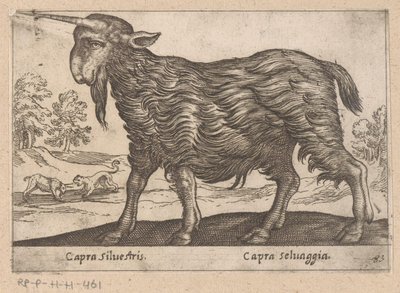 Koza s jedním rohem Capra Silvestris / Capra Selvaggia (název na objektu) Dieren en fablewezens (název série) Nová kolekce nejkurióznějších zvířat světa (název série) od Antonio Tempesta
