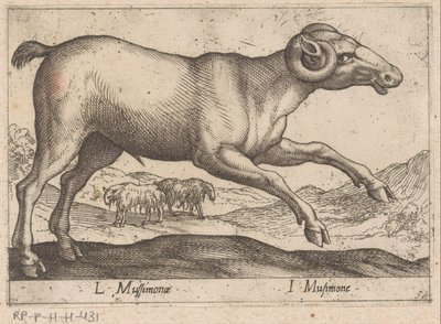 kozí L Mussimonae/ I Musimone (název na objektu) Dieren en fablewezens (název série) Nová kolekce nejkurióznějších zvířat světa (název série) od Antonio Tempesta