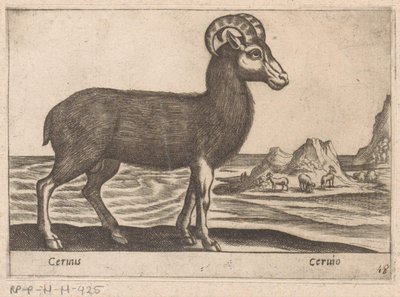 Drahokamy Cerinis / Ceruio (název na objektu) Dieren en fabelwezens (název série) Nova sbírka nejkurióznějších zvířat na světě (název série) od Antonio Tempesta