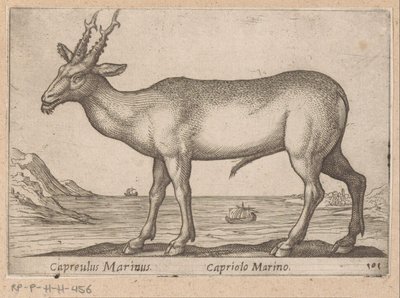 Hert Capreulus Marinus/ Capriolo Marino (název na objektu) Dieren en fablewezens (název série) Nová kolekce nejkurióznějších zvířat světa (název série) od Antonio Tempesta