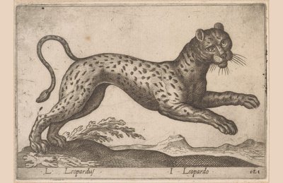 Leopard L Leopardus/ I Leopardo (titul na objektu) Dieren en fablewezens (název série) Nová kolekce nejkurióznějších zvířat světa (název série) od Antonio Tempesta