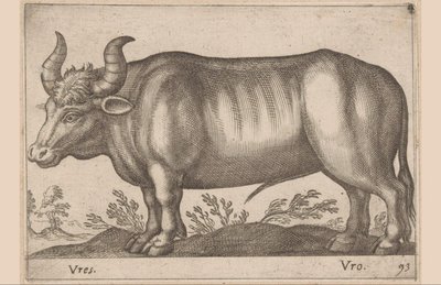 Kolo Vres/Vro (název na objektu) Zvířata a mýtická stvoření (název série) Nova raccolta de li animali piu curiosi del mondo (název série) od Antonio Tempesta