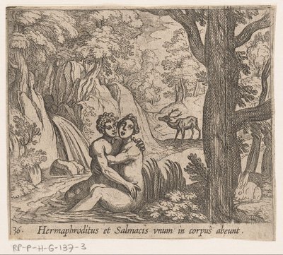 Salmacis a Hermaphroditus Hermaphroditus a Salmacius odcházejí jako jedno tělo (titul na předmětu) Metamorphoseon nebo transformace (název série) Metamorfosen van Ovidius (název série) od Antonio Tempesta