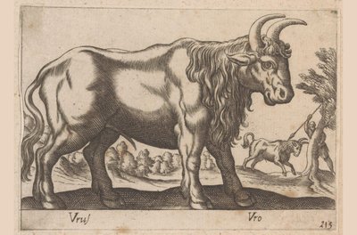 Býk Vrus/Vro (název na objektu) Dieren en fablewezens (název série) Nová kolekce nejkurióznějších zvířat světa (název série) od Antonio Tempesta