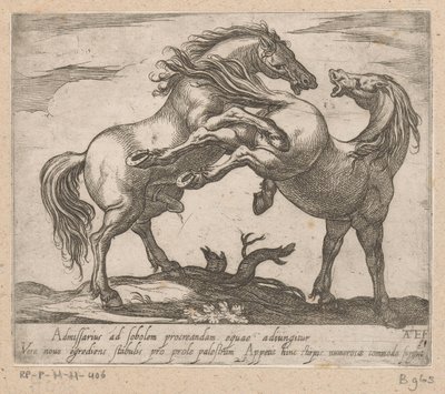Twee Parende Paarden Paarden uit verschiedelde landen (název série) S těmito vůdci budete oslavováni jako vůdce s viroru ústy. od Antonio Tempesta