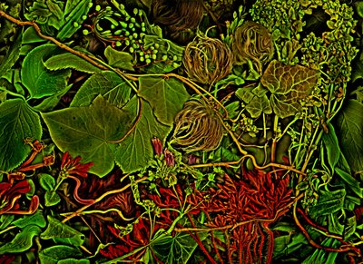 Anderswelt - pole, 2025 (foto) od Antonius Antonius