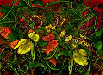 Anderswelt č. 102-1, 2025 (foto) od Antonius Antonius