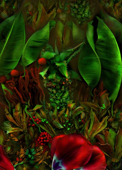 Anderswelt č. 22-2, 2025 (foto) od Antonius Antonius