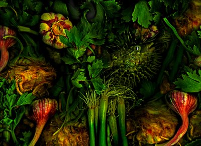 Jiné světy č. 20, 2017 (foto) od Antonius Antonius