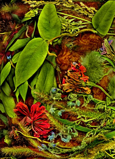 Jiné světy č. 2, 2025 (foto) od Antonius Antonius