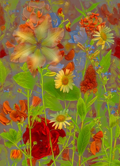 Artfloral č. 5 Jarní povídání, 2016 (foto) od Antonius Antonius