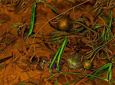 Earthart č. 2, 2014 (foto) od Antonius Antonius