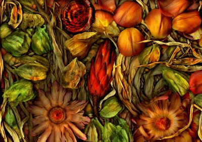 Kouzelná zahrada-jungle 3, 2013 (foto) od Antonius Antonius