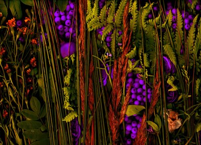 Kouzelná zahrada č. 39-3, 2019 (foto) od Antonius Antonius