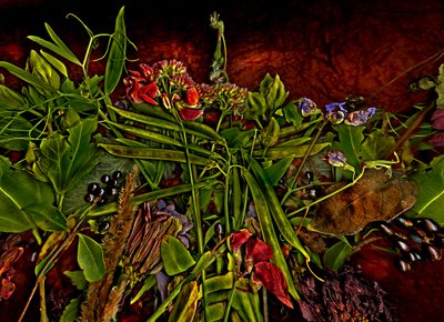 Zátiší m 3, 2014 (foto) od Antonius Antonius