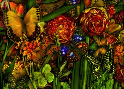 Léto, 2012 (foto) od Antonius Antonius