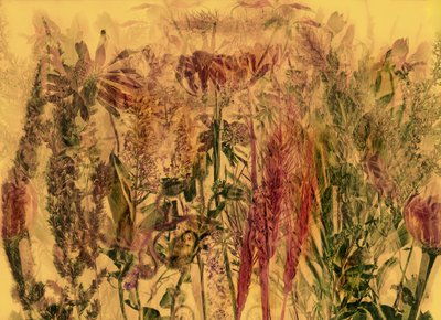 anderswelt 92 od Antonius Antonius