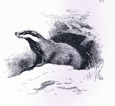 Jezevec, hospoda. od Book Club Associates od Archibald Thorburn