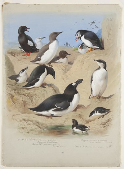 Závěsný od Archibald Thorburn