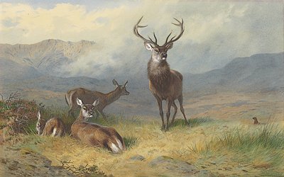 Monarcha z Glenu od Archibald Thorburn