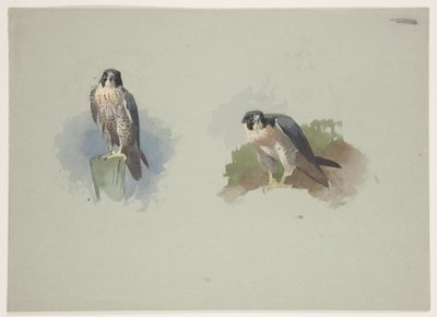 Závěsný od Archibald Thorburn