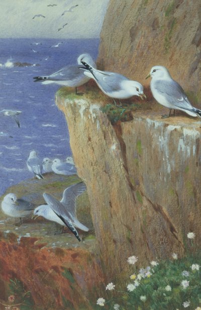 Rackové od Archibald Thorburn