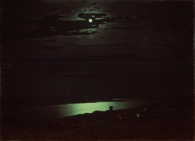 Měsíčná noc na Dněpru, 1880 od Arkhip Ivanovich Kuindzhi