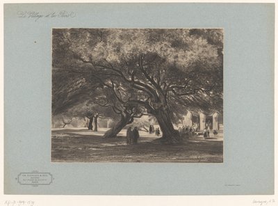 Duby u kostela Cimiez Les Chênes verts de Cimiés, Nice (název na objektu) Krajiny s vesnicemi a lesy (název série) Le village et les bois (název série na objektu) od Armand Theophile Cassagne