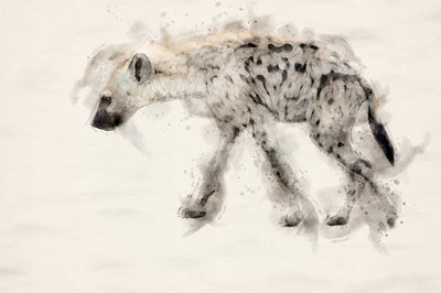 Akvarel: Hyena skvrnitá od Arno Du Toit