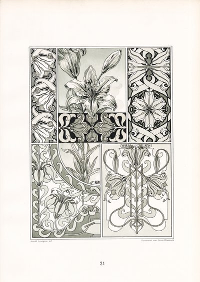 Ornamenty lilií v černobílé kompozici (litografie) od Arnold Lyongrün