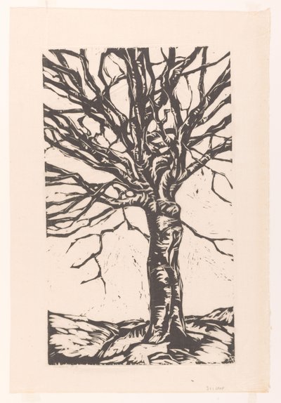 Kale boom od Arnold Pijpers (signed by artist)