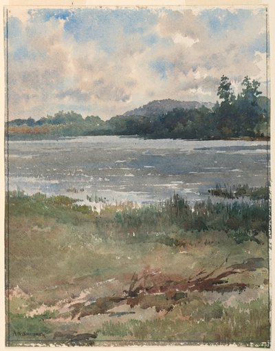 Krajina u jezera od Arnold William Brunner
