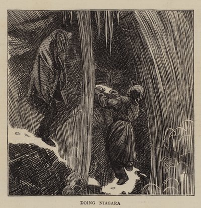 Dělat Niagaru od Arthur Boyd Houghton