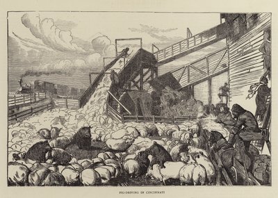Jízda prasat v Cincinnati od Arthur Boyd Houghton